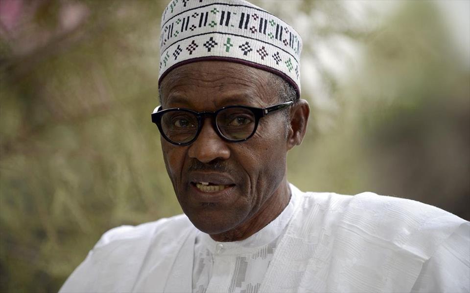 الرئيس النيجيري يبحث مع ترامب صفقة أسلحة أميركية محتملة