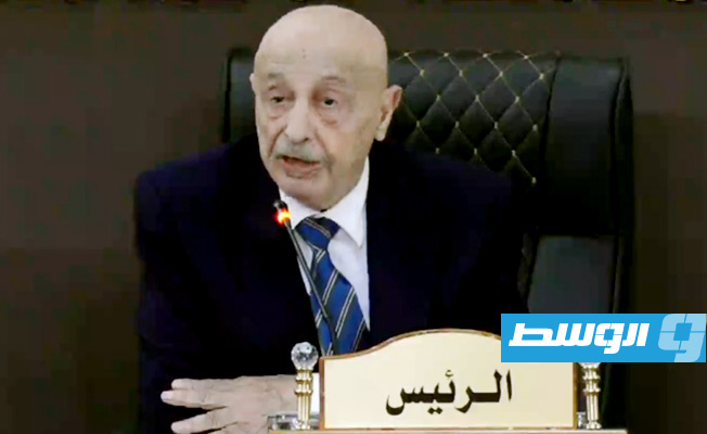 Aguila Saleh says received election law from the 6+6 committee