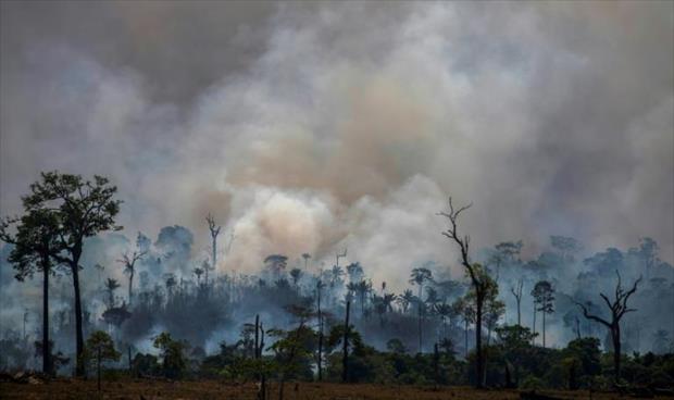 حرائق الأمازون زادت بنسبة 30% في 2019