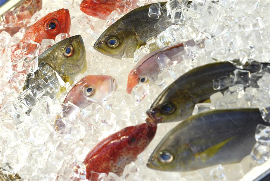 هل تجميد السمك يقلل فوائده الغذائية؟