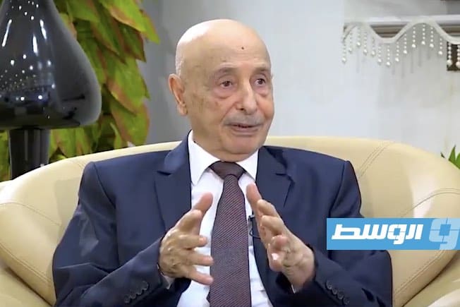 عقيلة صالح يوضح المواد الدستورية المتوافق عليها في اجتماعات القاهرة