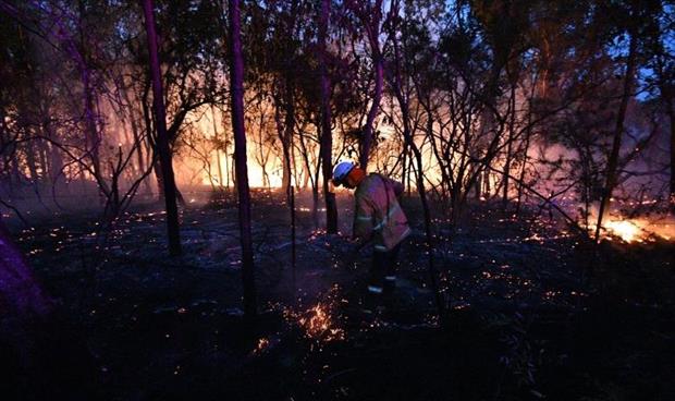 أستراليون يفرون من منازلهم بسبب اشتعال أكثر من 100 حريق في البلاد