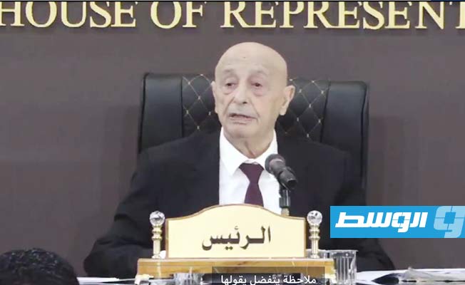 Aguila Saleh: Decisions issued at June 26 session are invalid