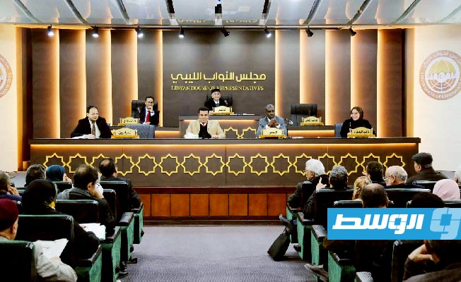 House of Representatives: Bathily's briefing to the Security Council contained inaccuracies