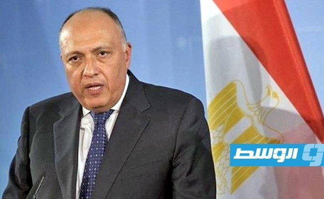Egypt FM Shoukry: We are bringing Libyan parties together in order to reach elections