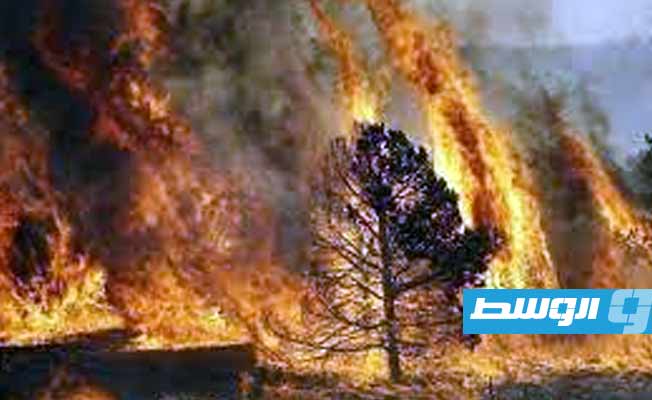 فرق الإطفاء تسيطر على حرائق الغابات في شمال إسبانيا