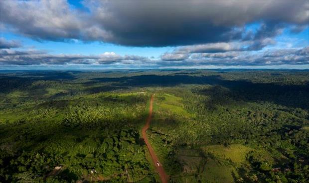 التعديات على الأنظمة البيئية في البرازيل تهدد التنوع البيولوجي