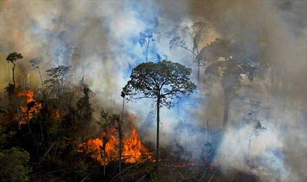 حرائق غابات البرازيل بلغت أعلى مستوياتها في 2020