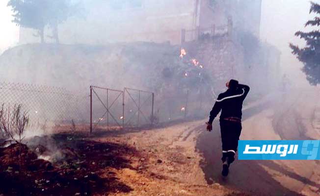 حداد وطني في الجزائر على ضحايا حرائق الغابات