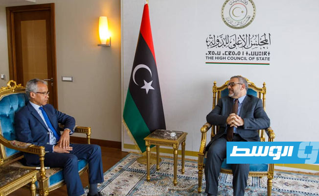 Al-Mishri discusses latest Libya developments with French ambassador