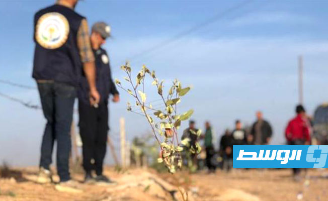 Libyan Organization for Environment and Climate launches campaign to plant 100 million trees by 2030