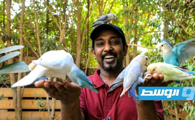 سوداني يحول منزله محمية طبيعية للطيور