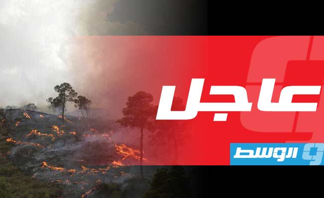 «فرانس برس»: 38 قتيلا في حرائق الغابات بالجزائر