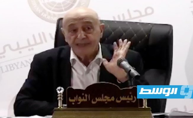Aguila Saleh exits vote on second deputy speaker, says will not participate as one of the candidates accused him of fraud