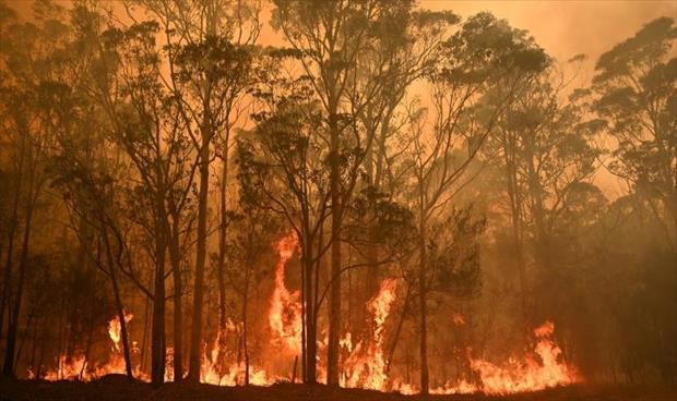 السلطات الأسترالية تدعو سكانًا إلى مغادرة منازلهم تحسبًا لموجة حرائق جديدة
