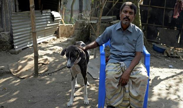 محاولات لإنقاذ فصيلة كلاب مهددة بالانقراض في بنغلادش