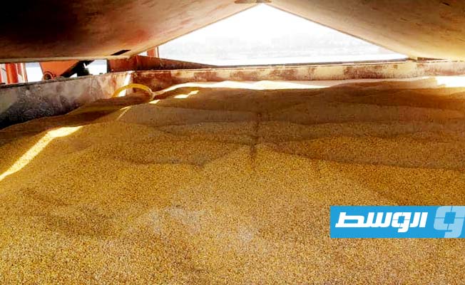 Grain shipment from Russia rejected due to insect infestation