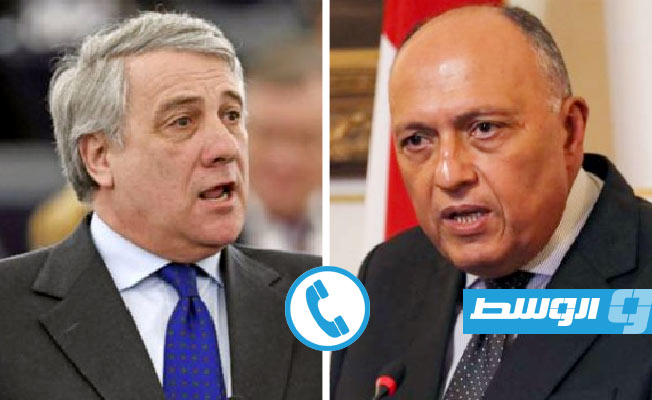 Situations in Libya and Niger the focus of talks between Egyptian and Italian foreign ministers