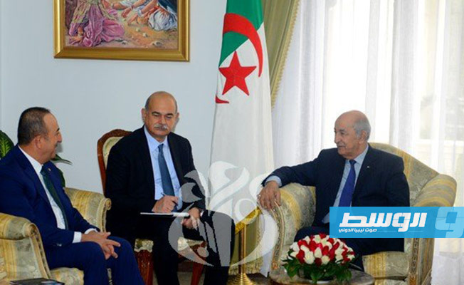 الجزائر وتركيا تتفقان على تكثيف الجهود لوقف إطلاق النار في ليبيا