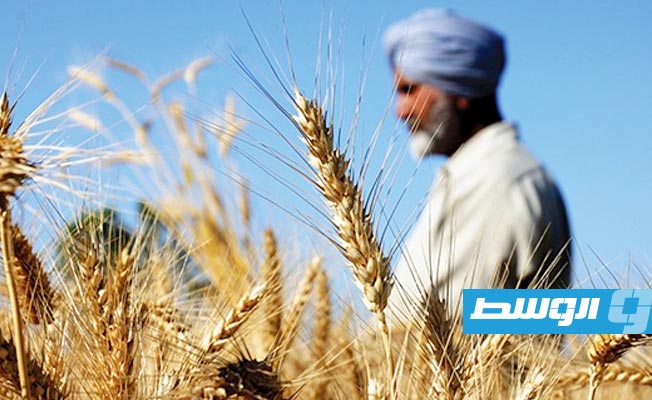 مجموعة السبع ترفض قرار الهند حظر تصدير القمح: نريد إبقاء الأسواق مفتوحة