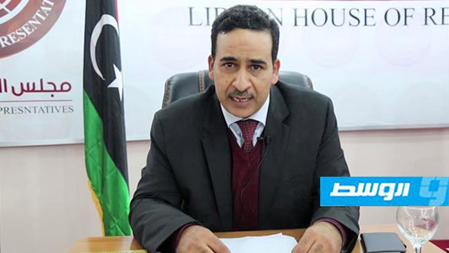 النويري: مجلس النواب يجب أن يكون طرفا أساسيا لأية مشاورات بشأن ليبيا
