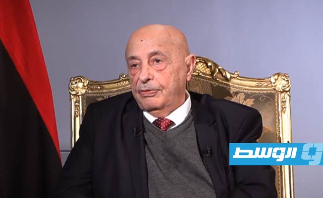 Aguila Saleh: We will agree with the High Council of State to form a miniature government to hold elections after electoral laws are approved