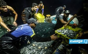 الاحتلال الإسرائيلي يعتقل 4 صيادين فلسطينيين قبالة سواحل غزة
