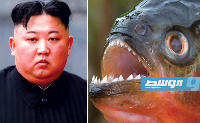 «الميرور» البريطانية: زعيم كوريا الشمالية أعدم جنرالا بإطعامه لسمك «البيرانا» العملاق