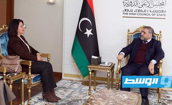 المنقوش والمشري يبحثان ملفي الانتخابات وتكليف السفراء الليبيين