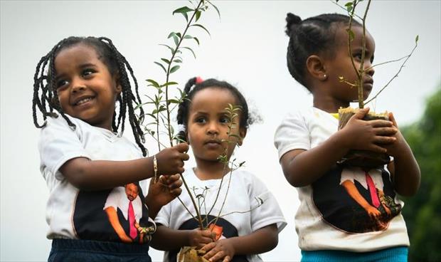 إثيوبيا تسعى للحفاظ على البيئة بزرع 4 مليارات شجرة