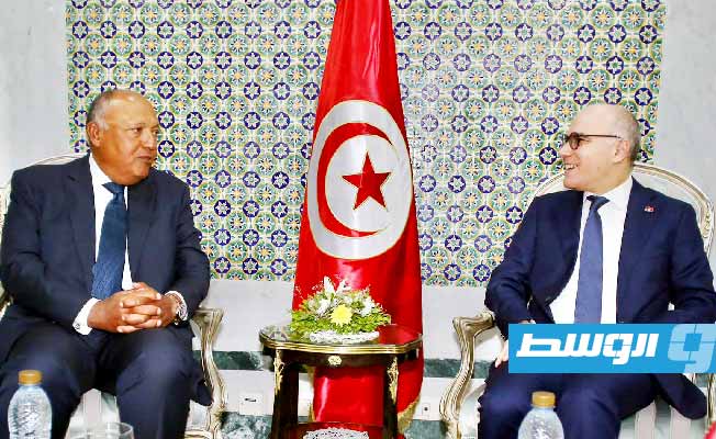 Libya tops discussion between Egyptian FM Sameh Shoukry and Tunisian FM Nabil Ammar in Tunis