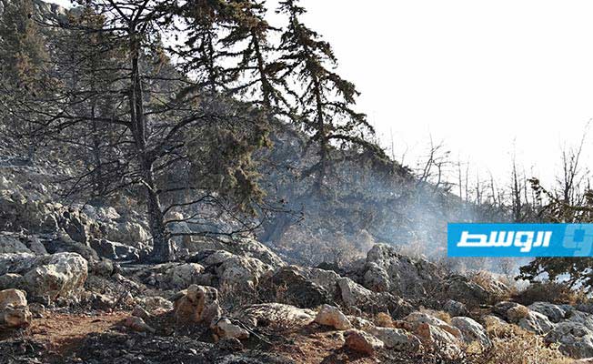 مديرية أمن شحات تُحذر من إضرام النيران في الغابات