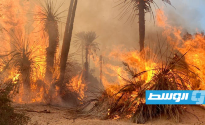 حريق في غابات بلدية درج (صور)
