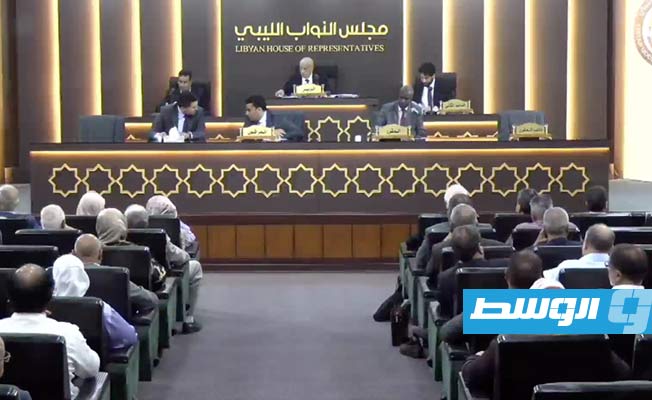 House of Representatives adopts 6+6 Joint Committee's roadmap for elections