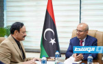 باكستان تدعم إجراء الانتخابات الليبية وفق إطار قانوني «متفق عليه»