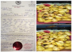 «الرقابة على الأغذية»: رفض شحنة جوافة فاسدة قادمة من مصر