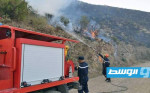 الجزائر: اندلاع 10 حرائق في مناطق متفرقة وتواصل الجهود لإخمادها