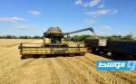 وزارة الزراعة الأوكرانية: تراجع صادرات الحبوب 46% رغم فتح موانئ