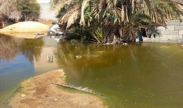 Overflowing groundwater causing a "disaster" in Zliten says the director of the city's Environmental Sanitation Office