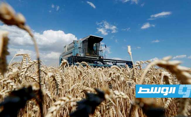 موسكو: ارتفاع أسعار الحبوب ناجم عن إجراءات «مدمرة» اتخذها الغرب