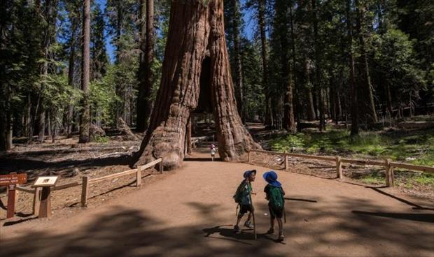 إغلاق متنزه يوسيمتي الوطني في كاليفورنيا بسبب «كورونا»