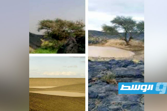 ممنوع الرعي.. إعلان منطقة الهروج الأسود محمية طبيعية