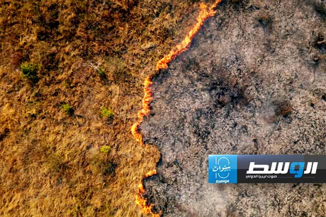 دراسة: الاحترار المناخي يفاقم حرائق بانتانال البرازيلية