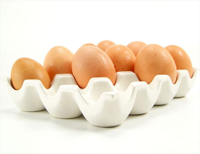 ديكورات رائعة من كارتونة البيض