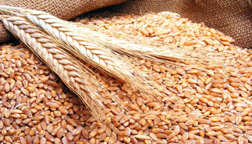 تونس تشتري 84 ألف طن من القمح اللين