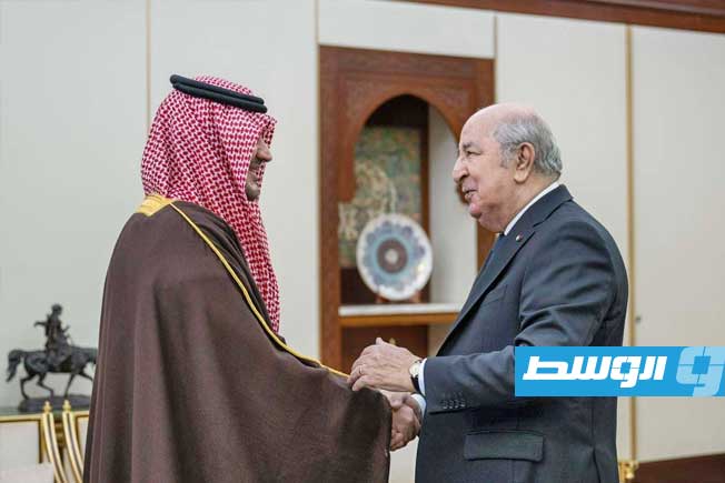 تبون يعقد جلسة موسعة مع وزير الداخلية السعودي تناولت التعاون الأمني