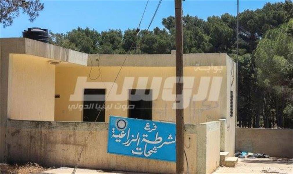 الشرطة الزراعية في شحات: نعمل بأقل الإمكانات والحكومة الموقتة خذلتنا