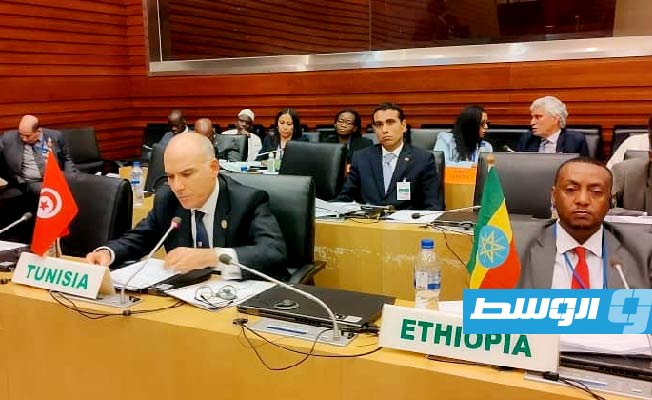 تونس تدعو إلى حل ليبي - ليبي بعيدا عن التدخلات الأجنبية