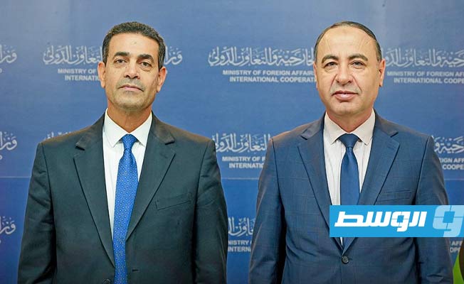الباعور يناقش مع السايح الإجراءات لضمان مشاركة الجاليات في الانتخابات