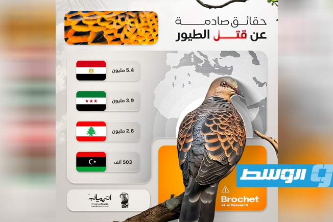 بنصف مليون طائر.. ليبيا الرابعة عربيًا في الصيد الجائر
